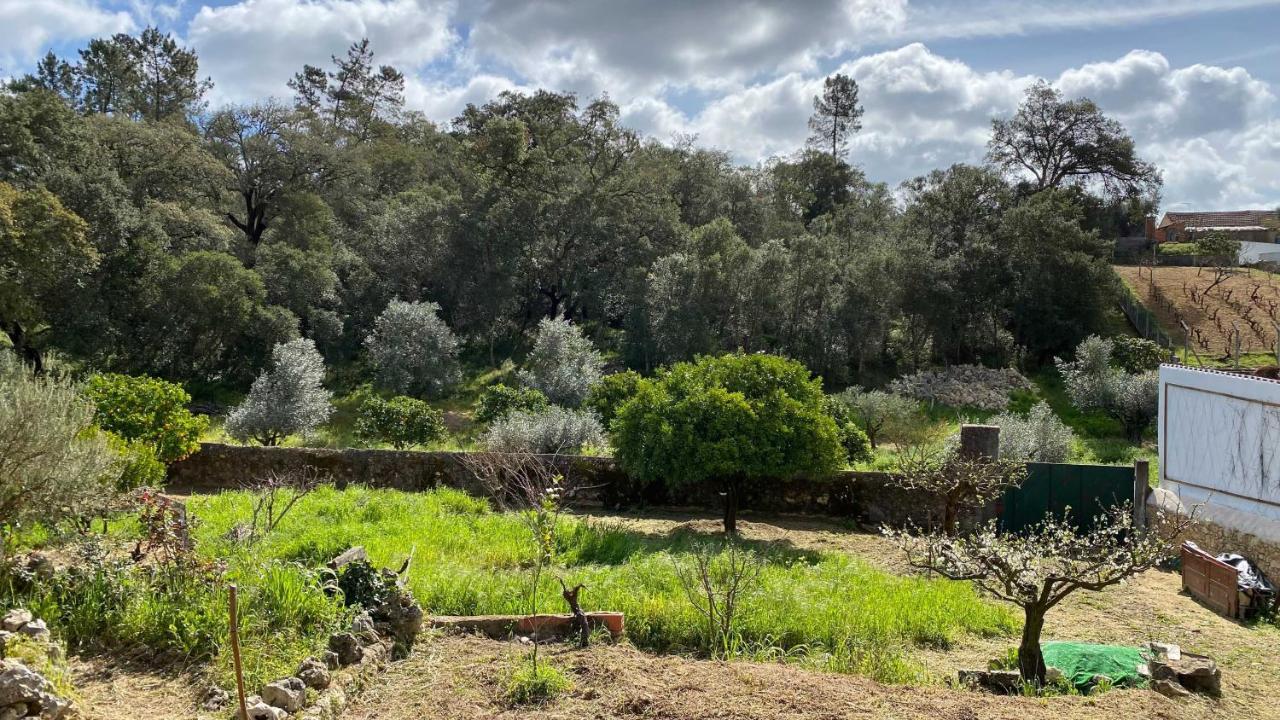 Casalinho In Portugal Country House Tomar Luaran gambar